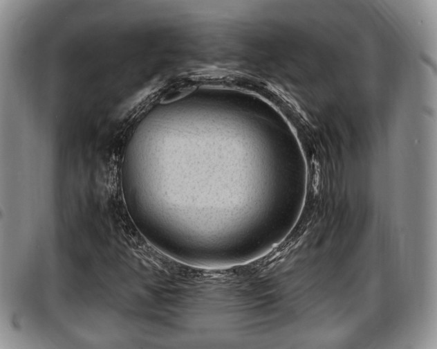 X0000097501350200802291549