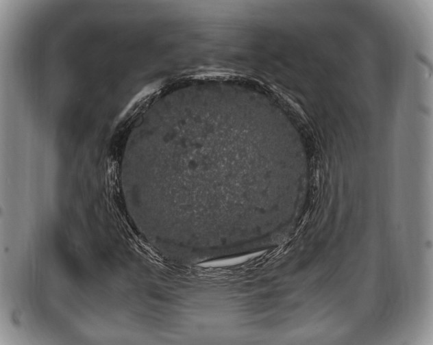 X0000097501351200802291549