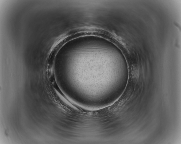 X0000097501352200802291549