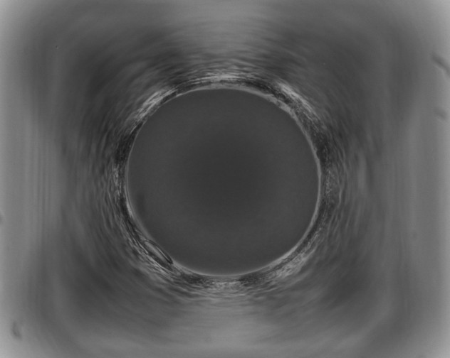 X0000097501353200802291549
