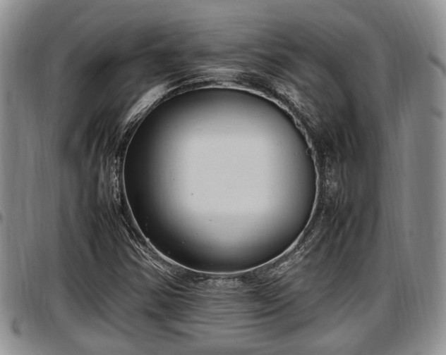 X0000097501354200802291549
