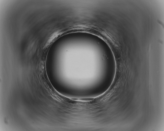 X0000097501355200802291549