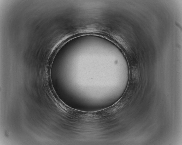 X0000097501356200802291549