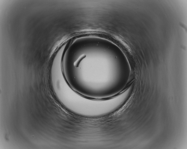 X0000097501357200802291549