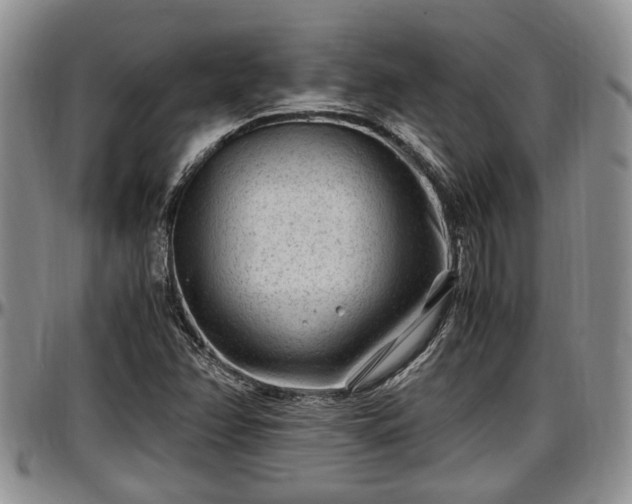 X0000097501358200802291549