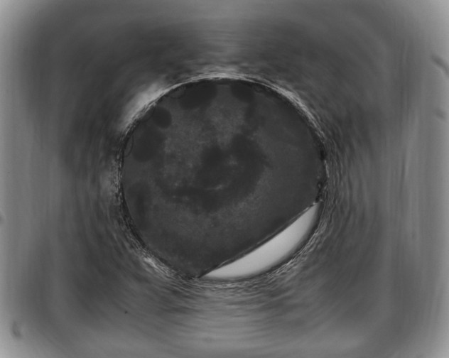X0000097501359200802291549