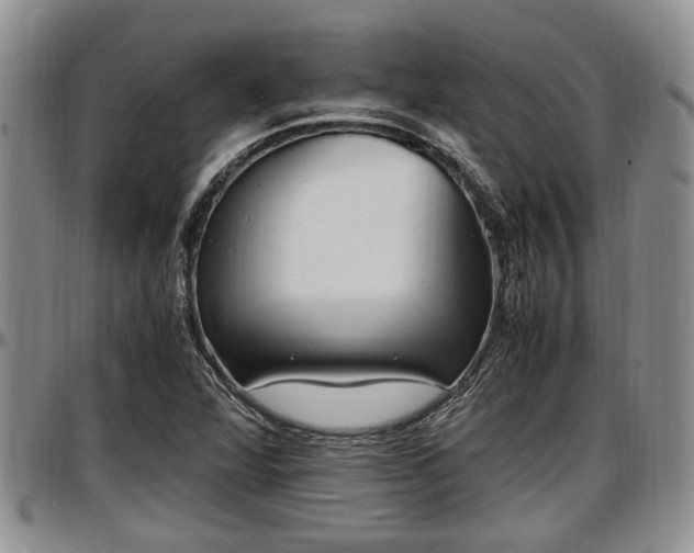 X0000097501360200802291549