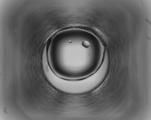 X0000097501361200802291549
