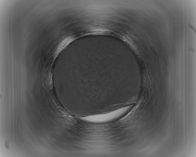 X0000097501362200802291549
