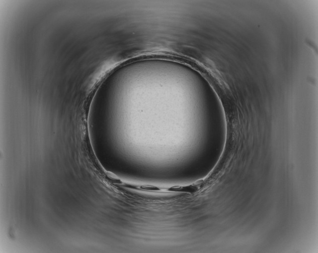 X0000097501363200802291549
