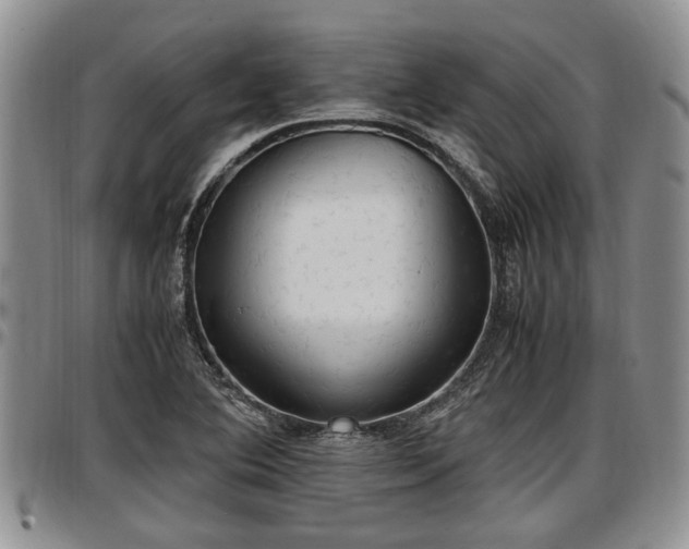 X0000097501364200802291549