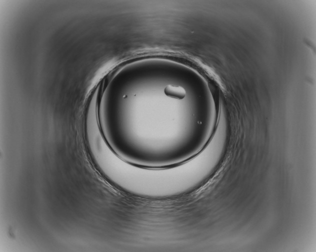 X0000097501365200802291549