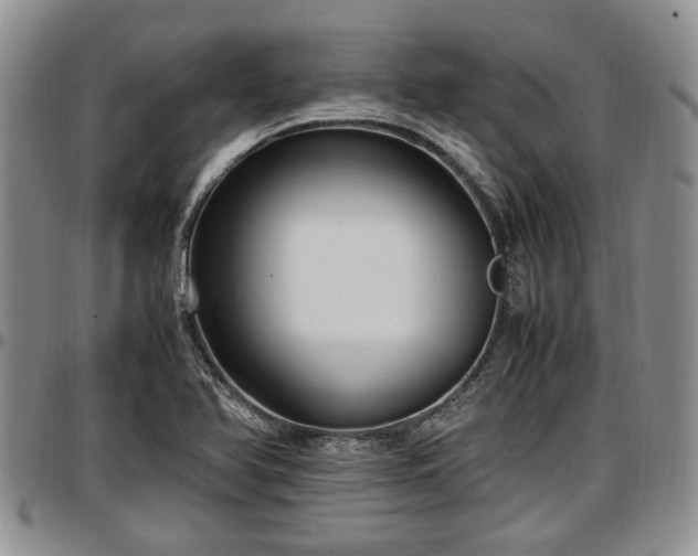 X0000097501366200802291549