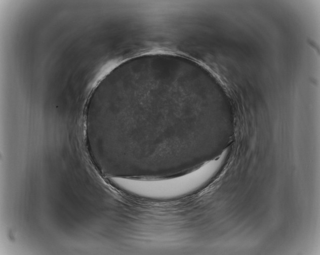 X0000097501367200802291549