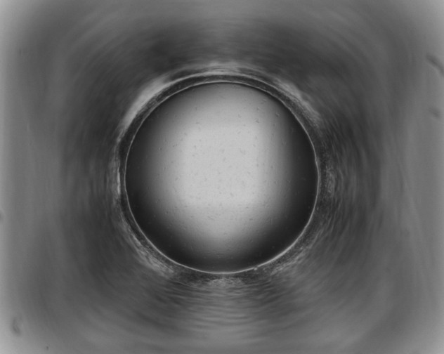X0000097501368200802291549