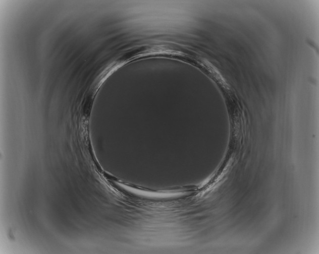 X0000097501369200802291549
