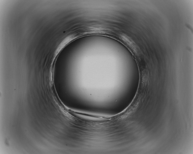 X0000097501370200802291549
