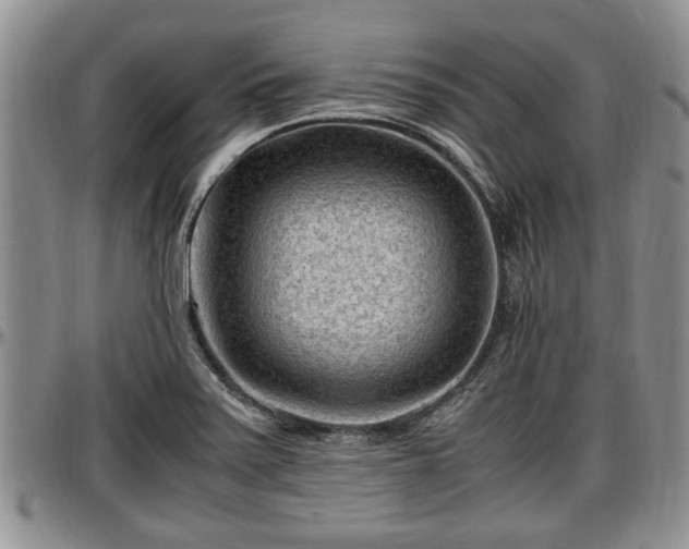 X0000097501371200802291549