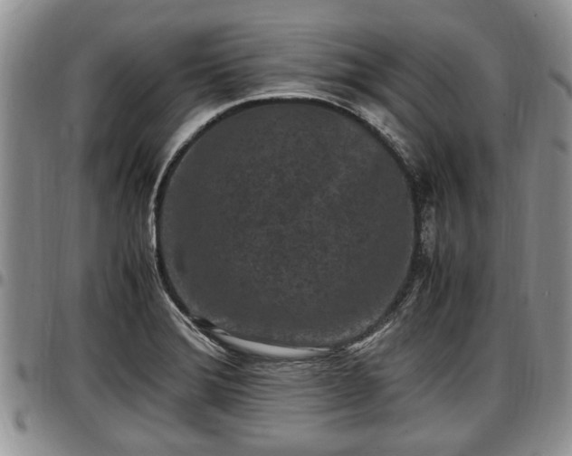 X0000097501372200802291549