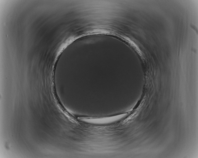 X0000097501373200802291549