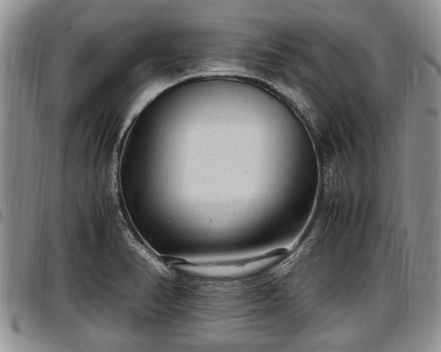 X0000097501374200802291549