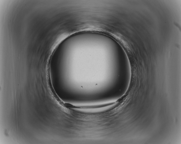 X0000097501375200802291549