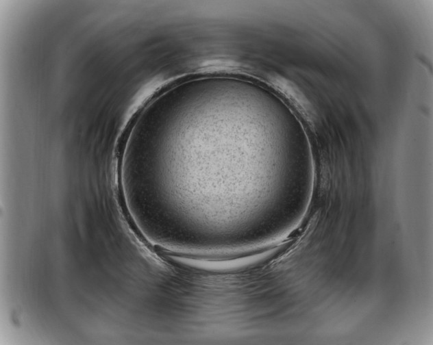 X0000097501376200802291549
