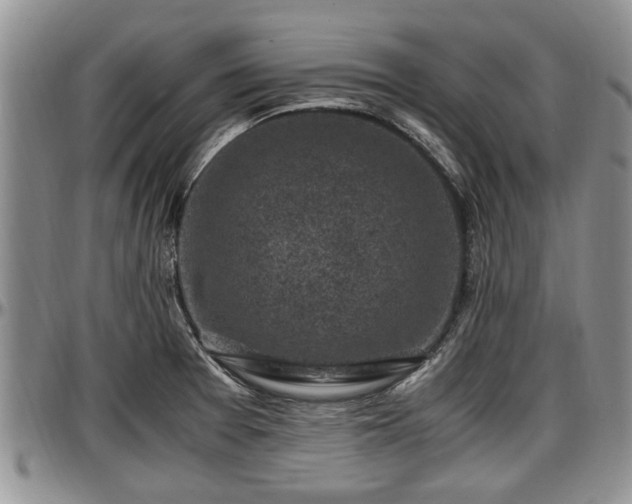 X0000097501377200802291549