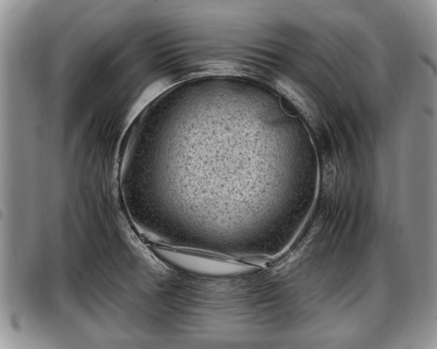 X0000097501378200802291549