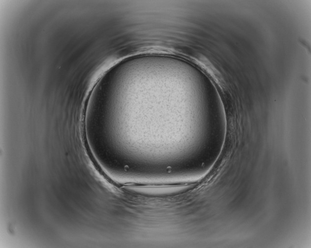 X0000097501379200802291549