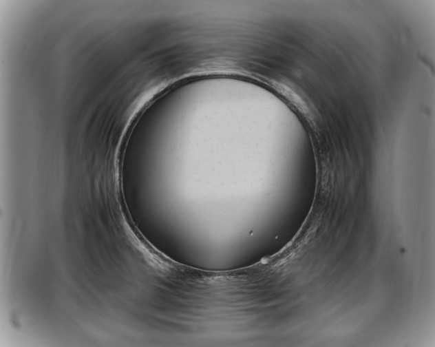 X0000097501380200802291549