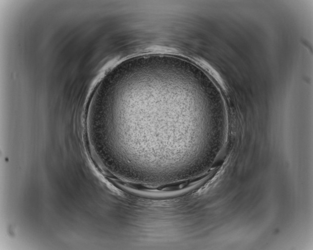 X0000097501381200802291549
