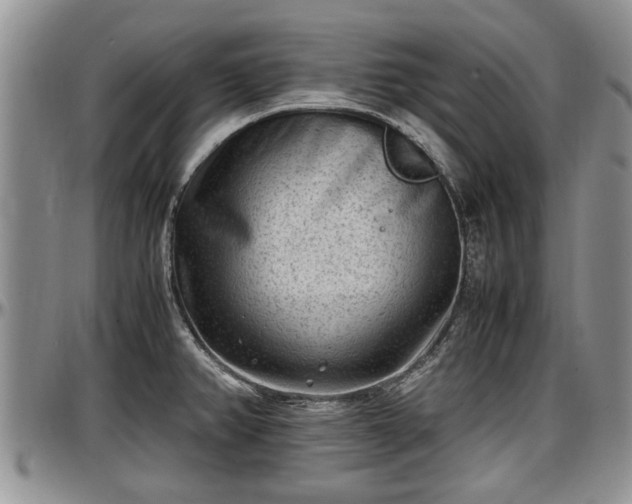 X0000097501382200802291549