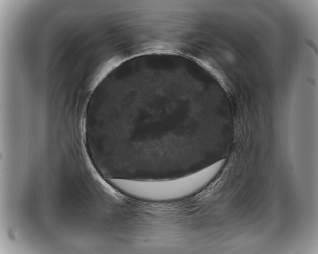 X0000097501383200802291549