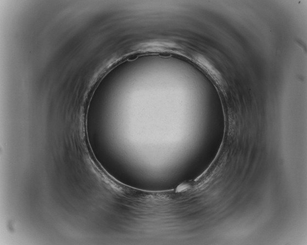 X0000097501384200802291549