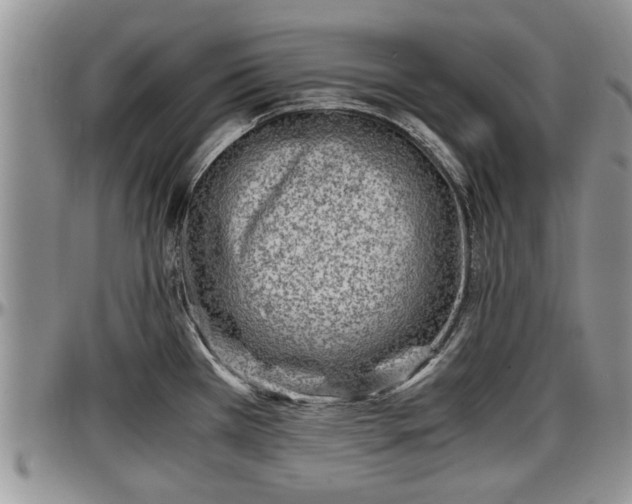 X0000097501385200802291549
