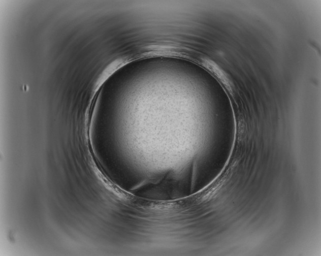 X0000097501386200802291549
