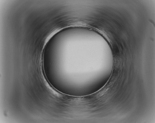 X0000097501387200802291549