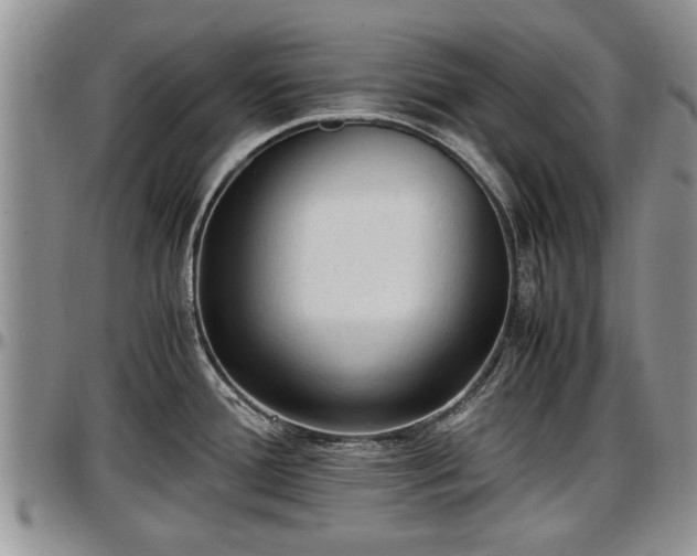 X0000097501388200802291549