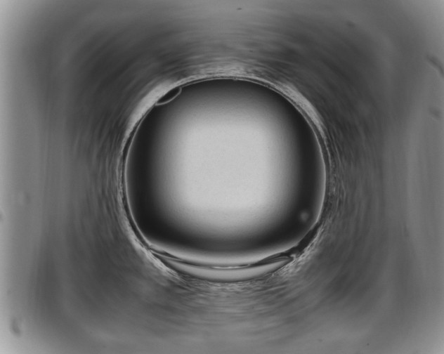 X0000097501389200802291549
