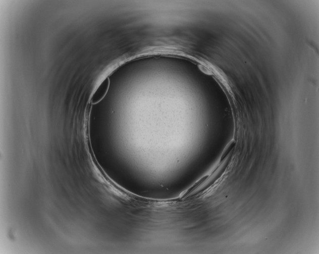 X0000097501390200802291549