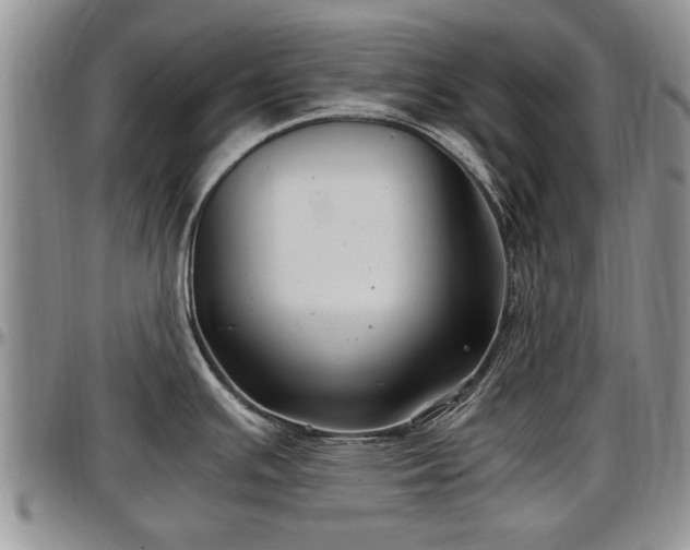 X0000097501391200802291549