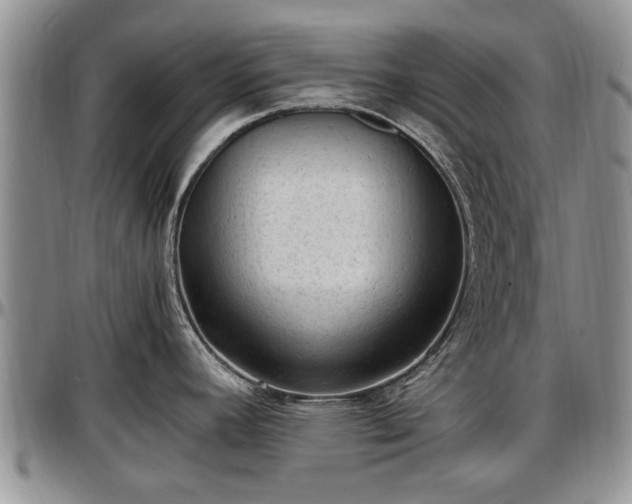 X0000097501392200802291549