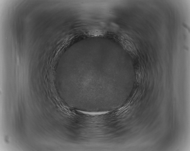 X0000097501393200802291548