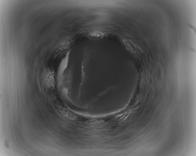 X0000097501394200802291548