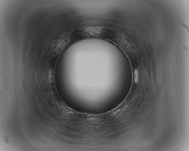 X0000097501395200802291548