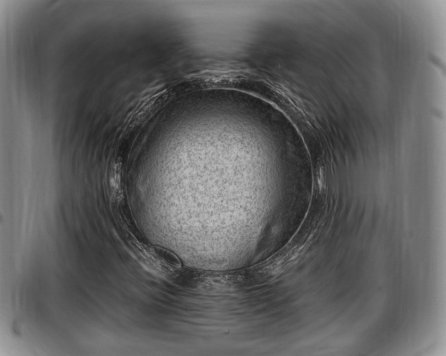 X0000097501396200802291548