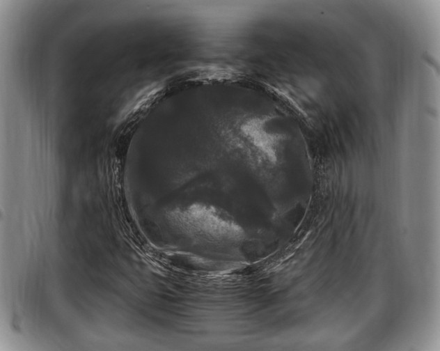 X0000097501399200802291548
