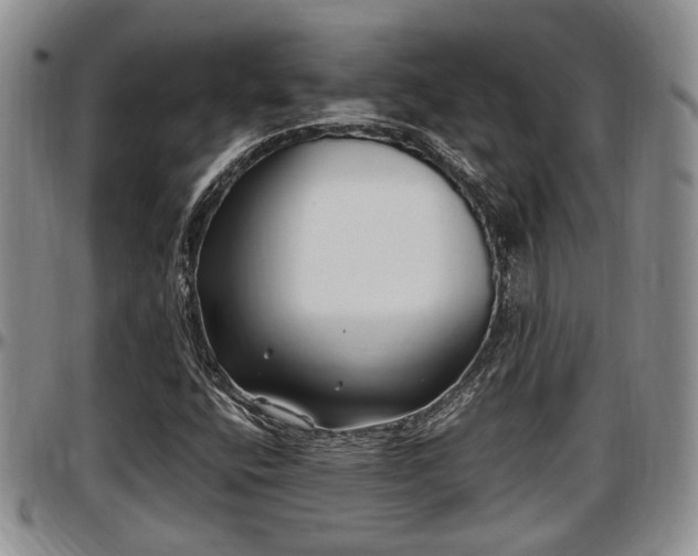 X0000097501400200802291548