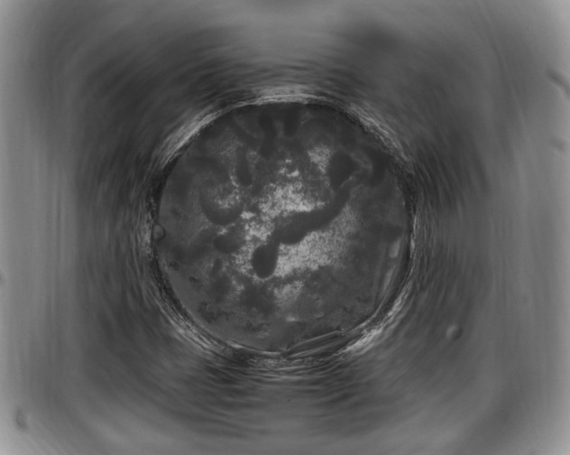 X0000097501401200802291548